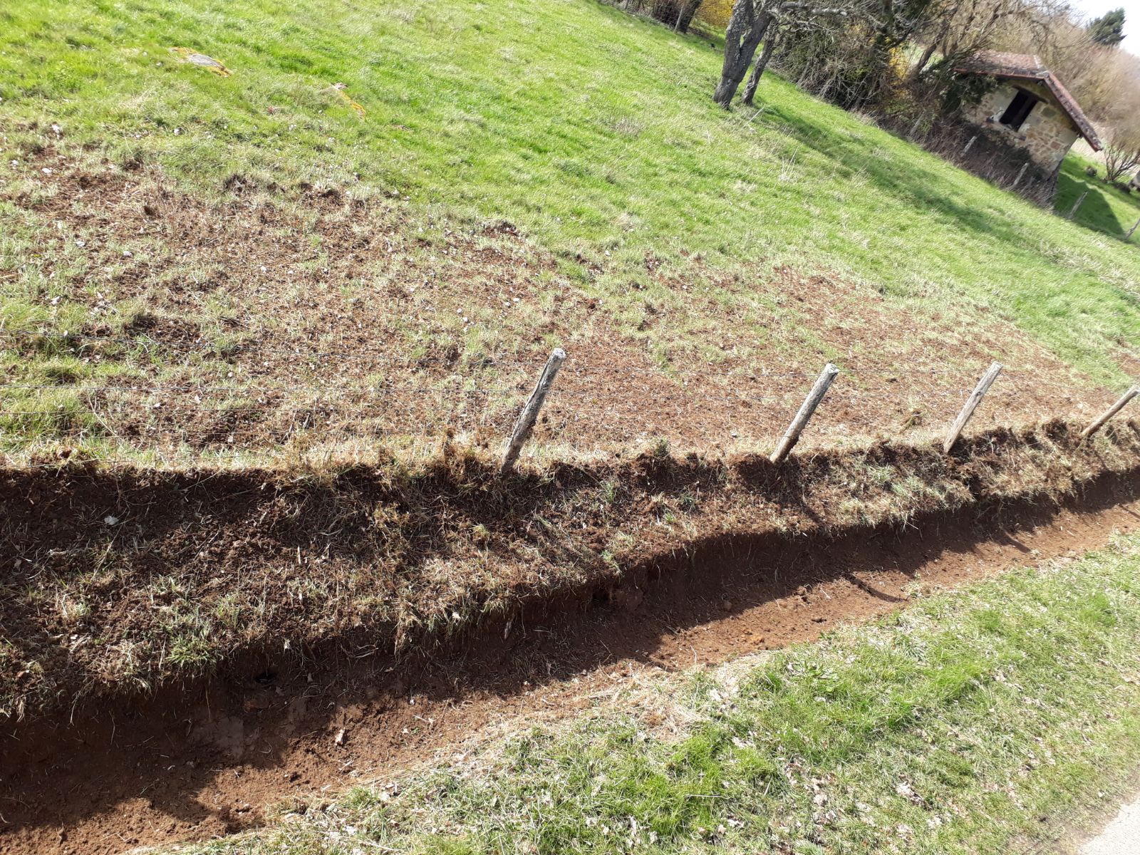 Cureuse  de  fossés 2